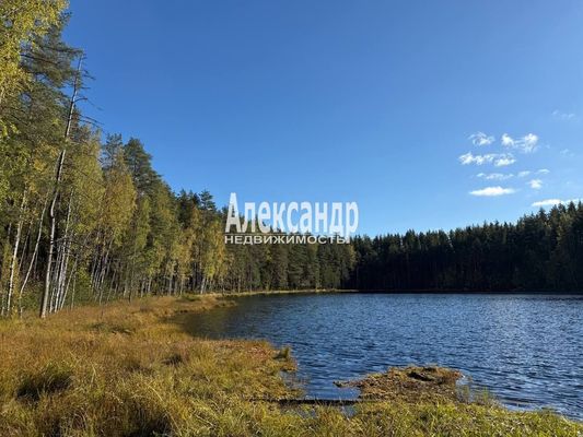 Продам участок 6,1 соток, ИЖС, поселок Сердце Вуоксы, 6, Четверяково д, 87 км от города