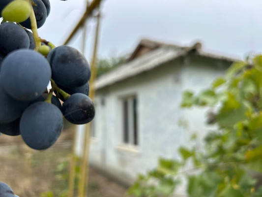 Продам дом, Терешковой ул, 4, Куликовка с, 0 км от города