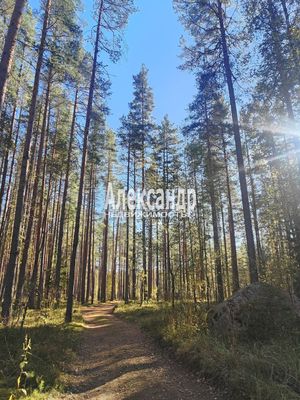 Продам участок 10 соток, ИЖС, 37, Четверяково д, 87 км от города