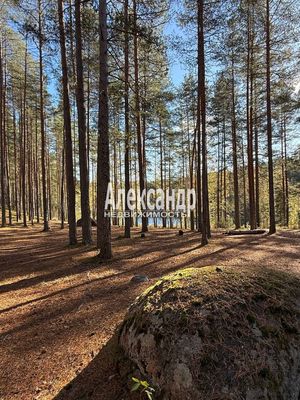 Продам участок 10 соток, ИЖС, 37, Четверяково д, 87 км от города