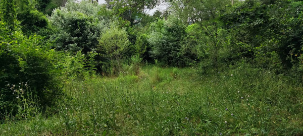 Продам землю для коммерческого использования 110,6 соток, Садоводство, Уральская ул, Дедеркой с