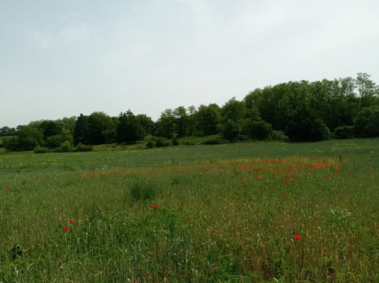 Продам участок 10 соток, ИЖС, Черноморская ул, 9, Виноградный п, 0 км от города