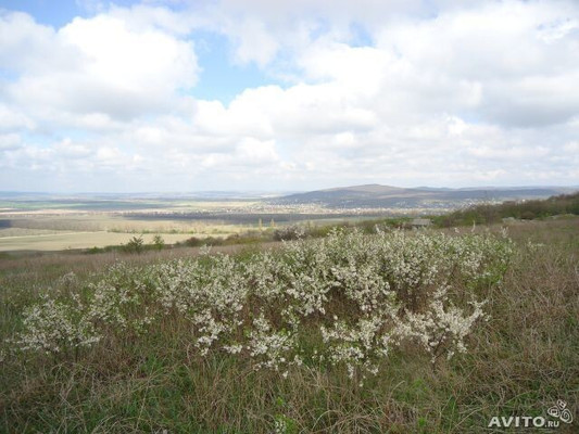 Продам участок 4,7 соток, Фермерское хоз., Тенистая (Южное тер. СНТ) ул, 31, Красный х, 0 км от города
