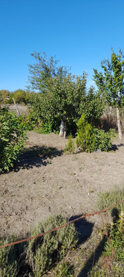 Продам участок 9,82 соток, Фермерское хоз., Дубки с, 0 км от города