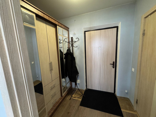 Продам однокомнатную (1-комн.) квартиру, Романовская ул, 19, Глухово д