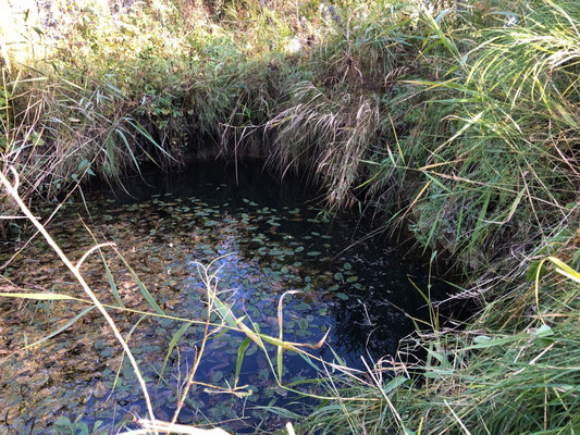 Продам дачу, 26, Пупышево д, 0 км от города