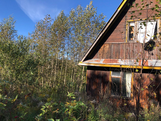 Продам дачу, 26, Пупышево д, 0 км от города