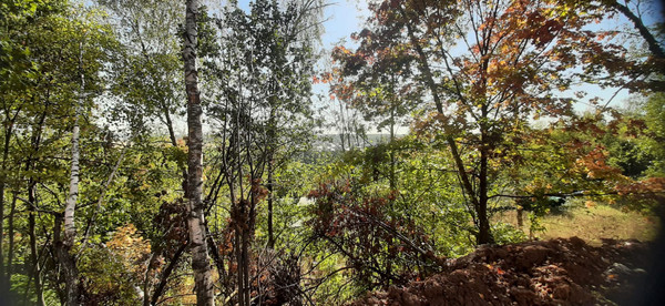 Продам участок 12,12 соток, ИЖС, Новая ул, Мисайлово д, 0 км от города