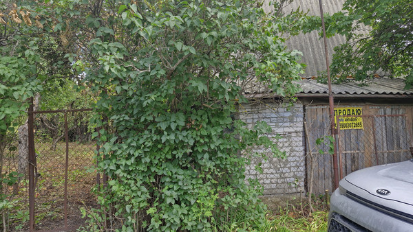 Продам дачу, Авиационная (Садовод тер. СНТ) ул, Воронеж г, 0 км от города