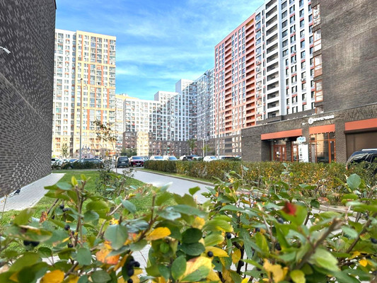 Продам однокомнатную (1-комн.) квартиру, Романычева (Новое Павлино мкр.) ул, 5, Балашиха г