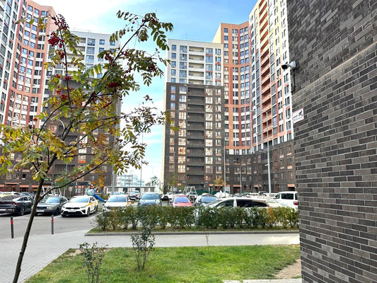 Продам однокомнатную (1-комн.) квартиру, Романычева (Новое Павлино мкр.) ул, 5, Балашиха г