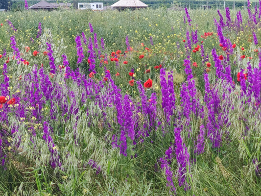 Продам участок 7 соток, ИЖС, Отрадный пер, 16, Кучугуры п, 0 км от города