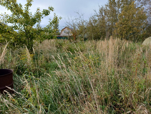 Продам участок 5 соток, Фермерское хоз., Шимское ш, Панковка рп, 0 км от города