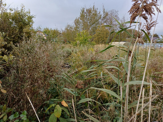 Продам участок 5 соток, Фермерское хоз., Шимское ш, Панковка рп, 0 км от города