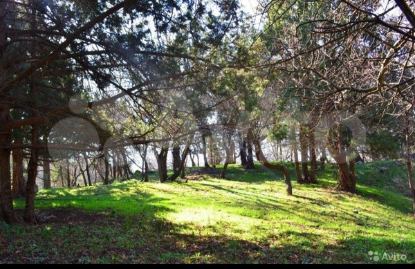 Продам участок 35,4 соток, ИЖС, Голубая ул, Симеиз пгт, 0 км от города