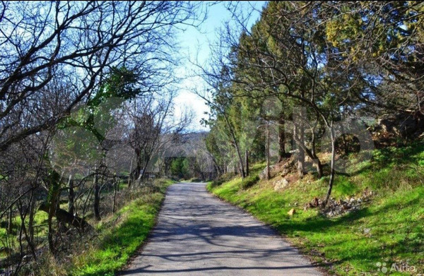 Продам участок 35,4 соток, ИЖС, Голубая ул, Симеиз пгт, 0 км от города