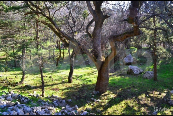 Продам участок 35,4 соток, ИЖС, Голубая ул, Симеиз пгт, 0 км от города