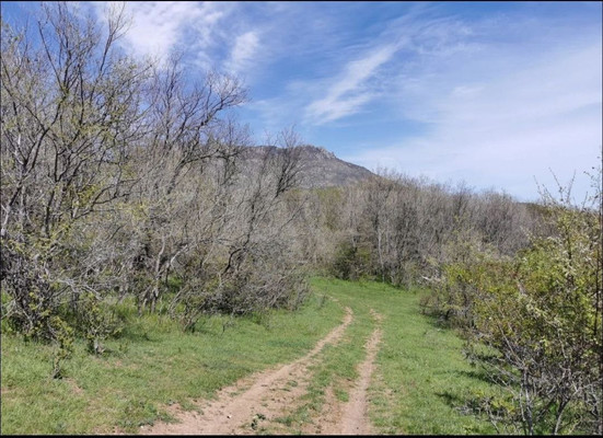 Продам участок 31 соток, ИЖС, Грушевая ул, Лучистое с, 0 км от города