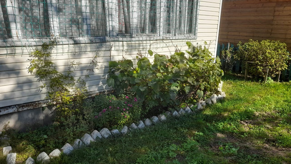 Продам дачу, Рябинушка тер. СНТ, 0 км от города