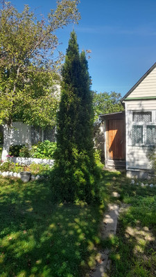 Продам дачу, Рябинушка тер. СНТ, 0 км от города