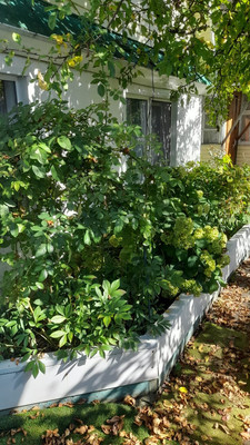 Продам дачу, Рябинушка тер. СНТ, 0 км от города