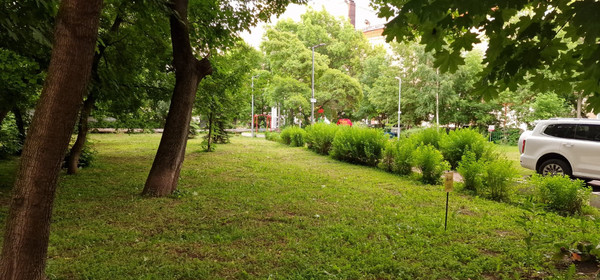 Продам двухкомнатную (2-комн.) квартиру, Лесной 2-й пер, 4/5к1, Москва г