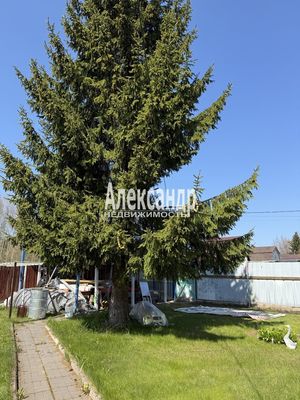 Продам дачу, 285, Захожье-6 массив Захожье снт, 21 км от города