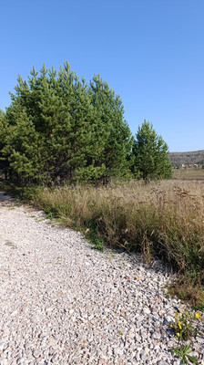 Продам участок 6 соток, ИЖС, 1-й пер, Манский п, 0 км от города