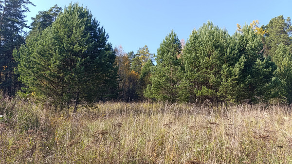 Продам участок 6 соток, ИЖС, 1-й пер, Манский п, 0 км от города