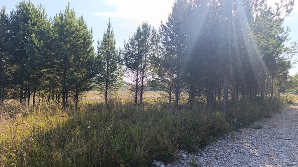 Продам участок 6 соток, ИЖС, 1-й пер, Манский п, 0 км от города