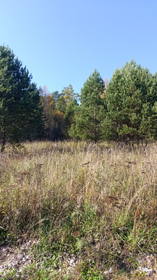 Продам участок 6 соток, ИЖС, 1-й пер, Манский п, 0 км от города