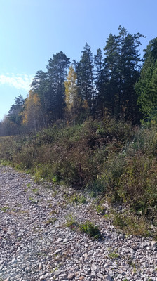 Продам участок 6 соток, ИЖС, 1-й пер, Манский п, 0 км от города