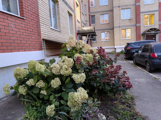 Продам двухкомнатную (2-комн.) квартиру, Пушкинская ул, 3к4, Ашукино дп