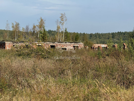 Продам землю для коммерческого использования 640 соток, Фермерское хоз., Федоровское с