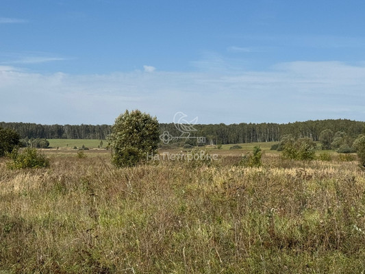 Продам землю для коммерческого использования 670 соток, Фермерское хоз., Мещерино с