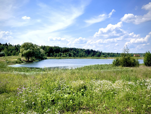 Продам коттедж, Береговая ул, 138, Нефедьево д, 0 км от города