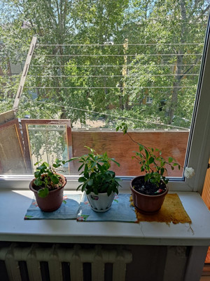 Продам однокомнатную (1-комн.) квартиру, Сибирских Партизан ул, 5, Иркутск г
