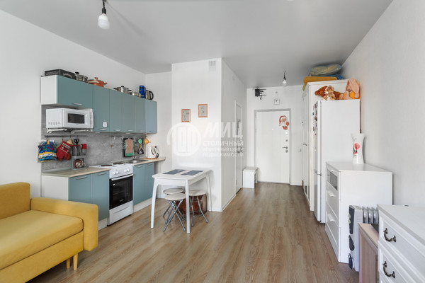 Продам однокомнатную (1-комн.) квартиру, академика Северина (Мирный мкр.) ул, 10, Мирный п