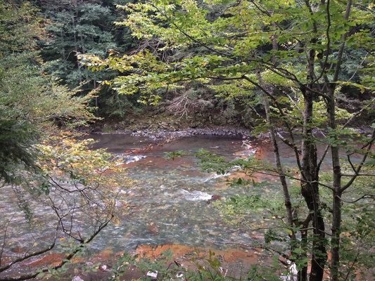 Продам землю для коммерческого использования 25 соток, Садоводство, Гузерипль п