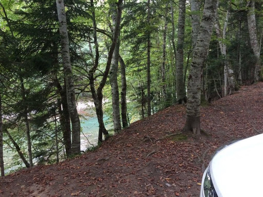 Продам землю для коммерческого использования 25 соток, Садоводство, Гузерипль п