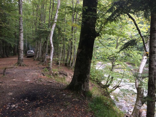 Продам землю для коммерческого использования 25 соток, Садоводство, Гузерипль п