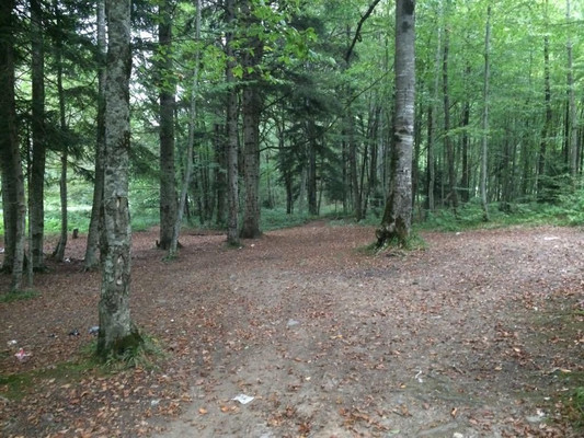 Продам землю для коммерческого использования 25 соток, Садоводство, Гузерипль п