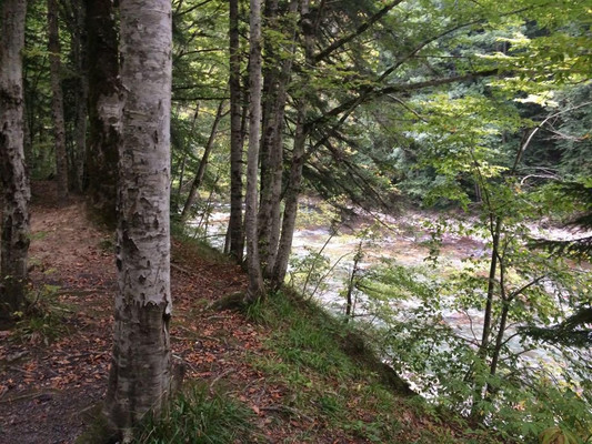 Продам землю для коммерческого использования 25 соток, Садоводство, Гузерипль п