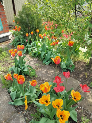 Продам дом, Кольцевая ул, 42А, Имерницин х, 0 км от города