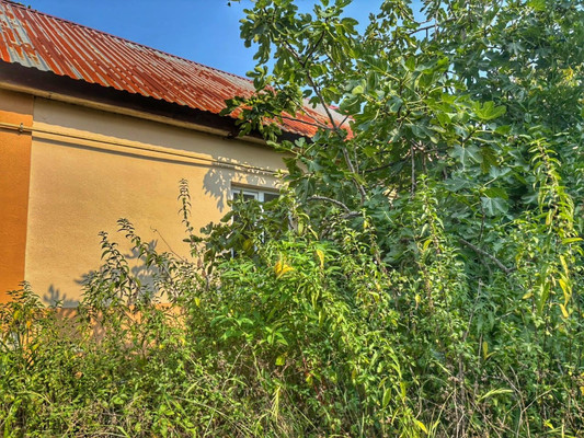 Продам участок 8 соток, ИЖС, Азалий ул, 9, Сочи г, 0 км от города