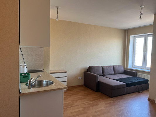Продам однокомнатную (1-комн.) квартиру, Толубеевский проезд, 24, Парголово п