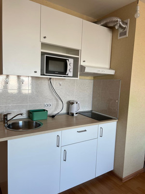 Продам однокомнатную (1-комн.) квартиру, Толубеевский проезд, 24, Парголово п