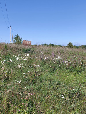 Продам участок 6,56 соток, ИЖС, Колодезная ул, Гудовка с, 0 км от города