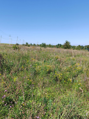 Продам участок 6,56 соток, ИЖС, Колодезная ул, Гудовка с, 0 км от города