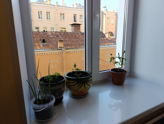 Продам трехкомнатную (3-комн.) квартиру, Бринько пер, 4А, Санкт-Петербург г